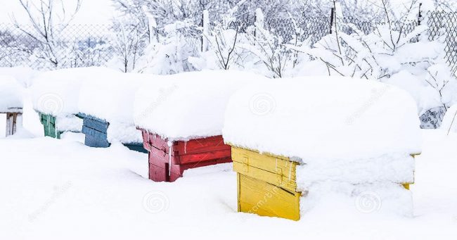 ApiaryBook_HappyHolidays.jpg