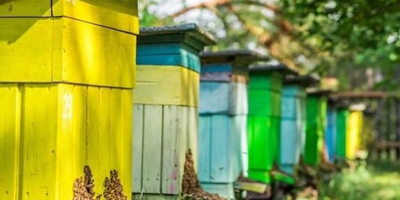 How-to-Paint-a-Beehive