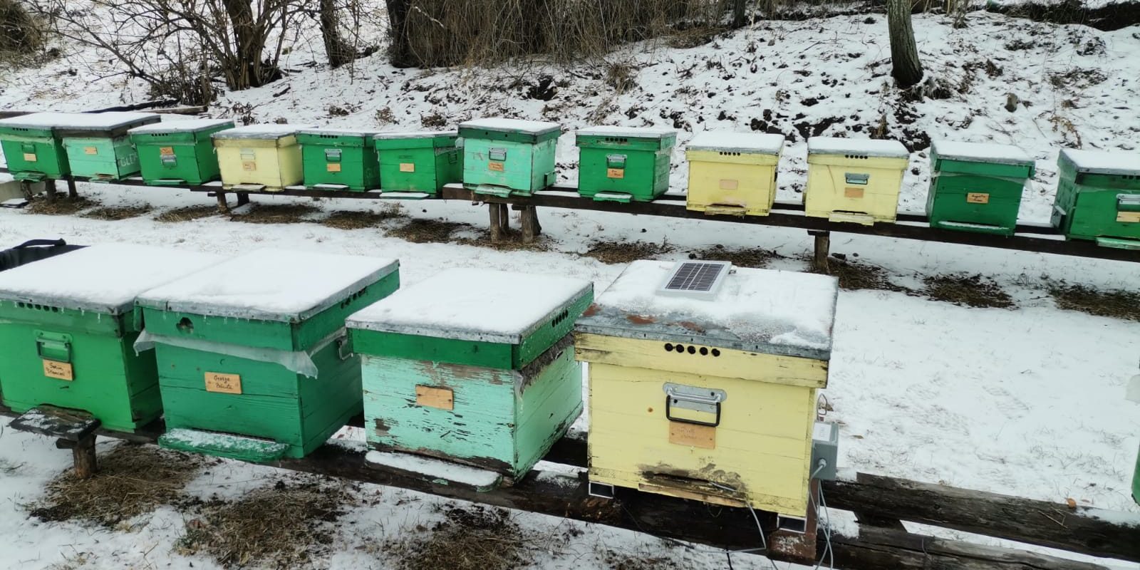 WhatsApp Image 2021-12-16 at 15.41.28 "HNPD - Honey New Product Development" project by Fileomera in collaboration with Apiary Book