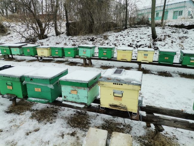 WhatsApp Image 2021-12-16 at 15.41.28 "HNPD - Honey New Product Development" project by Fileomera in collaboration with Apiary Book